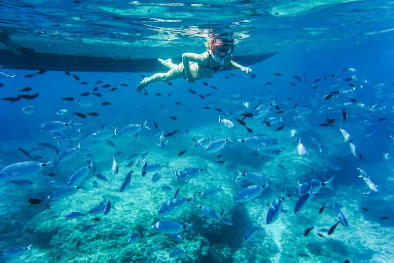 Alcudia: Formentor Beach, Lighthouse Cruise, and Small Group - Snorkeling Around Cap Pinar