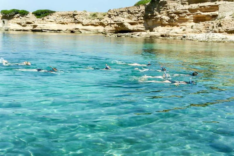 Alcudia: Formentor Beach, Lighthouse Cruise, and Small Group - Cala Murta and the Cliffs of Formentor