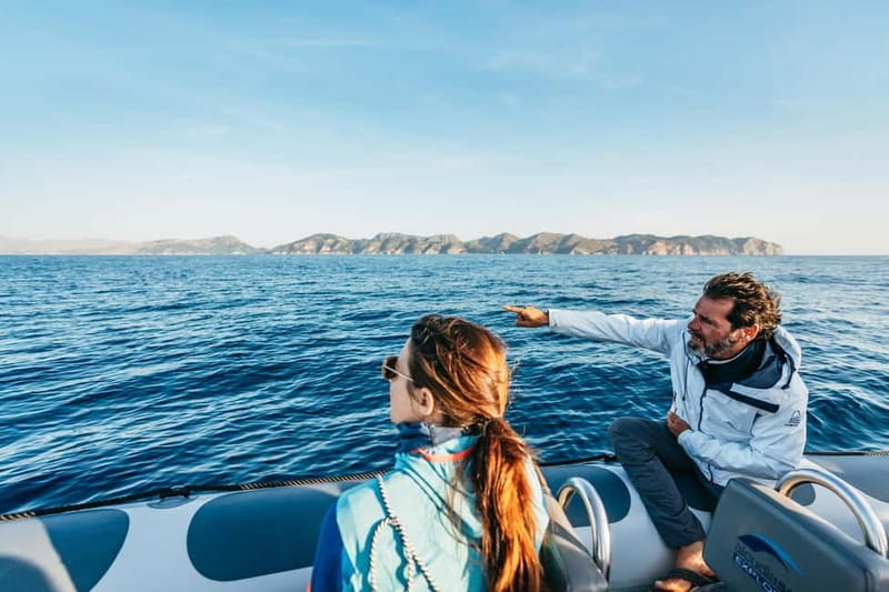 Alcudia or Can Picafort: Dolphin-Watching Cruise - Dolphins First, Then Mallorca’s Wild Coast