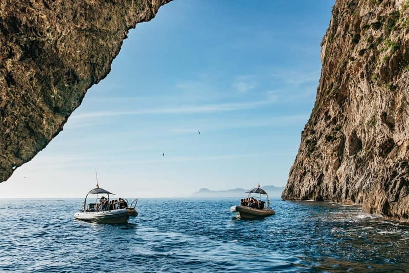 Alcudia or Can Picafort: Dolphin-Watching Cruise - Finding Dolphins in Their Natural Habitat