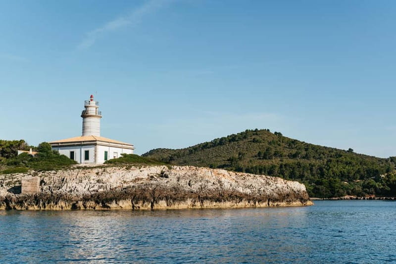 Alcudia or Can Picafort: Dolphin-Watching Cruise - Sea Caves and Rock Formations