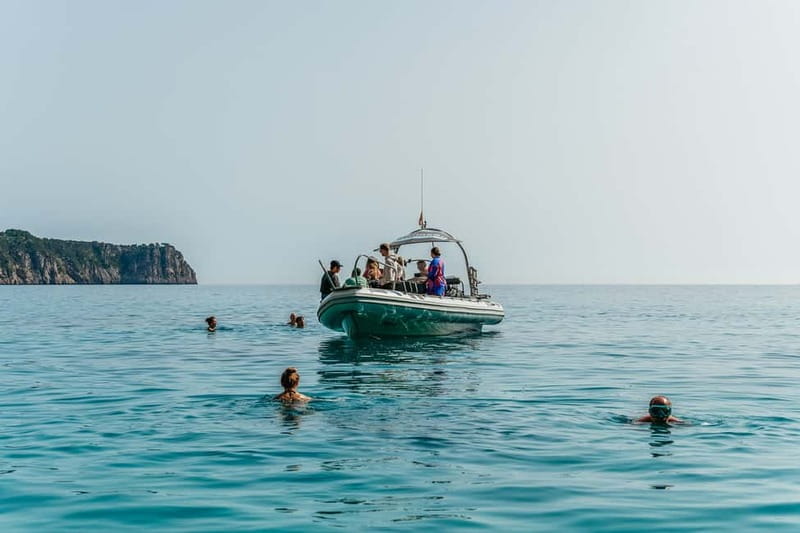 Alcudia or Can Picafort: Dolphin-Watching Cruise - Sunrise or Afternoon: Which Departure Works Best?