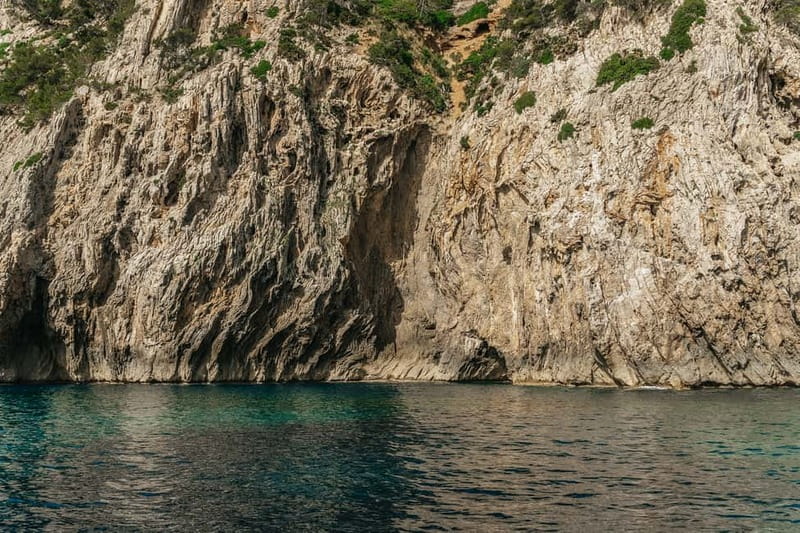 Alcudia or Can Picafort: Dolphin-Watching Cruise - What the $100 Price Buys You
