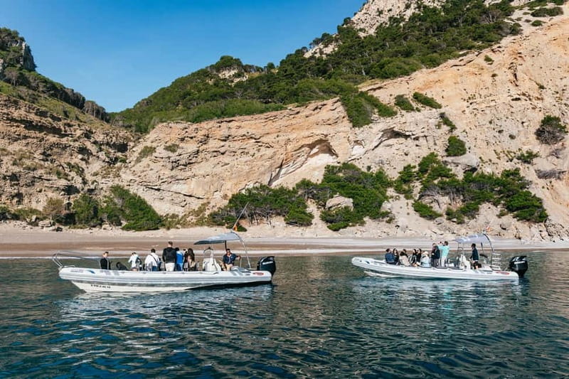 Alcudia or Can Picafort: Dolphin-Watching Cruise - Meeting at Port d’Alcudia