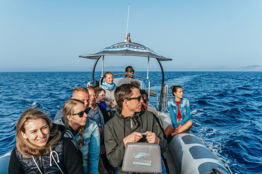 Alcudia or Can Picafort: Dolphin-Watching Cruise - The Boat Ride Is Fun, But Not Gentle