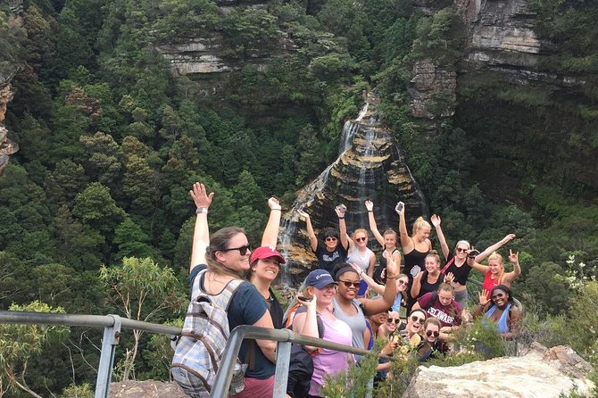 All Inclusive Blue Mountain,Scenic World,Lunch,Koalas,ferry - Lunch that removes one common travel worry