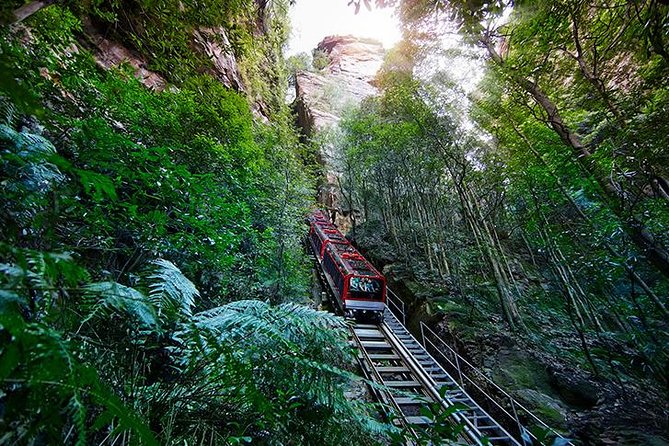 All Inclusive Blue Mountain,Scenic World,Lunch,Koalas,ferry - Wildlife at Featherdale or Sydney Zoo