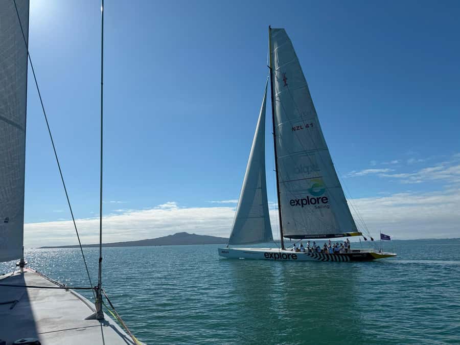 America’s Cup 2-Hour Sailing Experience Waitemata Harbour - Key points before you book
