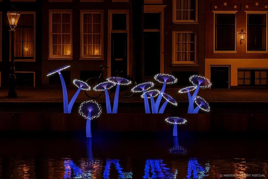 Amsterdam: Light Festival Boat+Unlimit.Drinks & Snack Option - Winter comfort: blankets, covers, and hot drinks