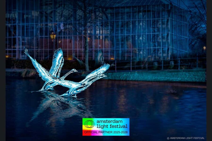 Amsterdam: Light Festival Cruise + Stroopwafel & Hot Choco - The Magere Brug is the classic night photograph