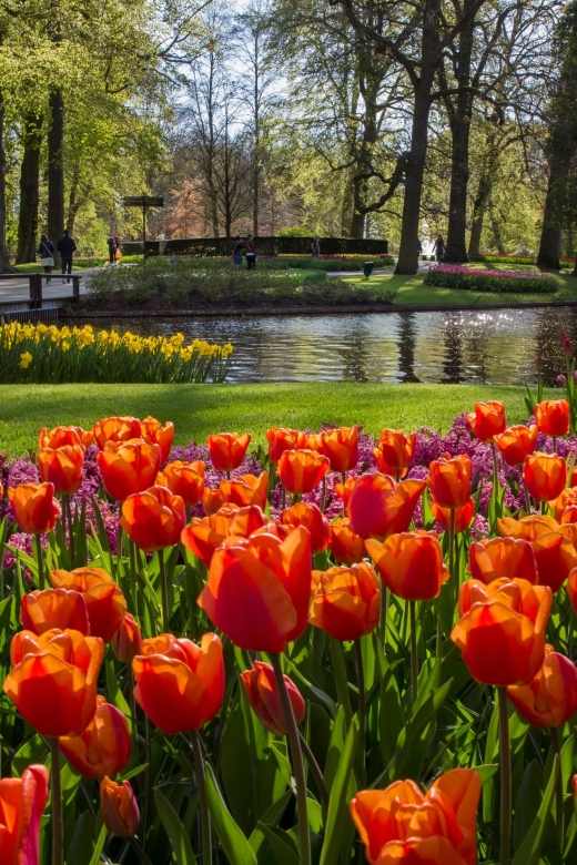 Amsterdam: Tour to Keukenhof Gardens with Windmill Cruise - Why this combination works