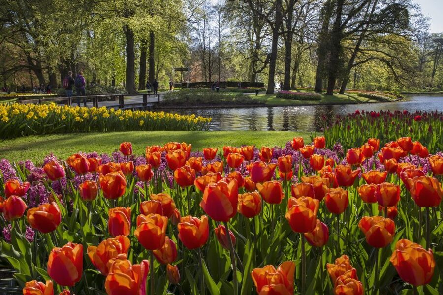 Amsterdam: Tour to Keukenhof Gardens with Windmill Cruise - What the $64 price really covers
