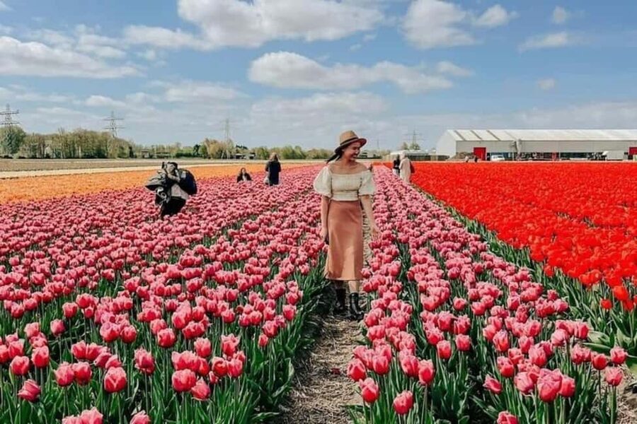Amsterdam: Tulip Farm Visit, Keukenhof, and Windmill Cruise - Key points to know before booking