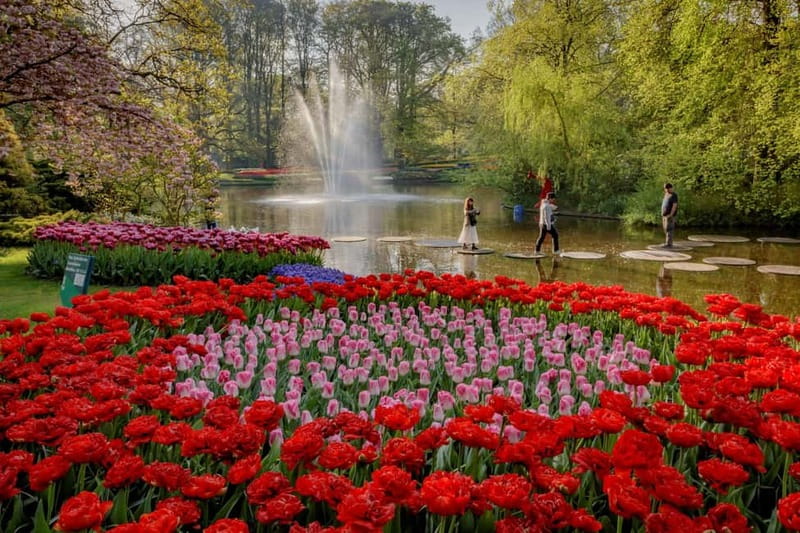 Amsterdam: Tulip Farm Visit, Keukenhof, and Windmill Cruise - A quiet hour on Kagerplassen