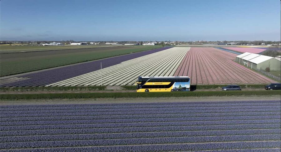 Amsterdam: Tulip Farm Visit, Keukenhof, and Windmill Cruise - Four hours inside Keukenhof