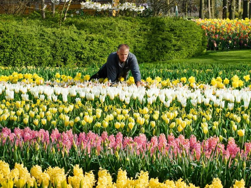 Amsterdam: Tulip Farm Visit, Keukenhof, and Windmill Cruise - What the coach ride adds
