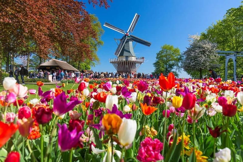 Amsterdam: Tulip Farm Visit, Keukenhof, and Windmill Cruise - Choosing the right date and preparing well