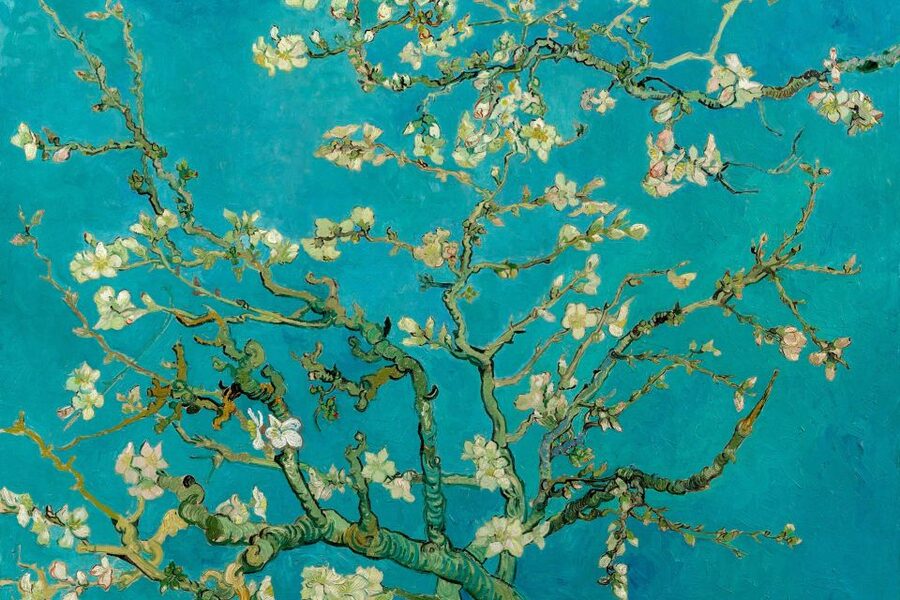 Amsterdam: Van Gogh Museum Ticket and City Canal Cruise - Two Amsterdam highlights in one three-hour plan