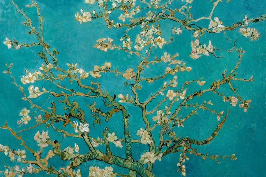 Amsterdam: Van Gogh Museum Ticket & Canal Cruise - Should you pay extra for the museum multimedia guide?