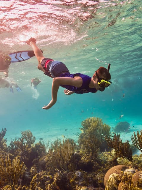 Ao Nang: 4 Islands Day Tour by Speedboat or Longtail Boat - Choosing between the speedboat and longtail