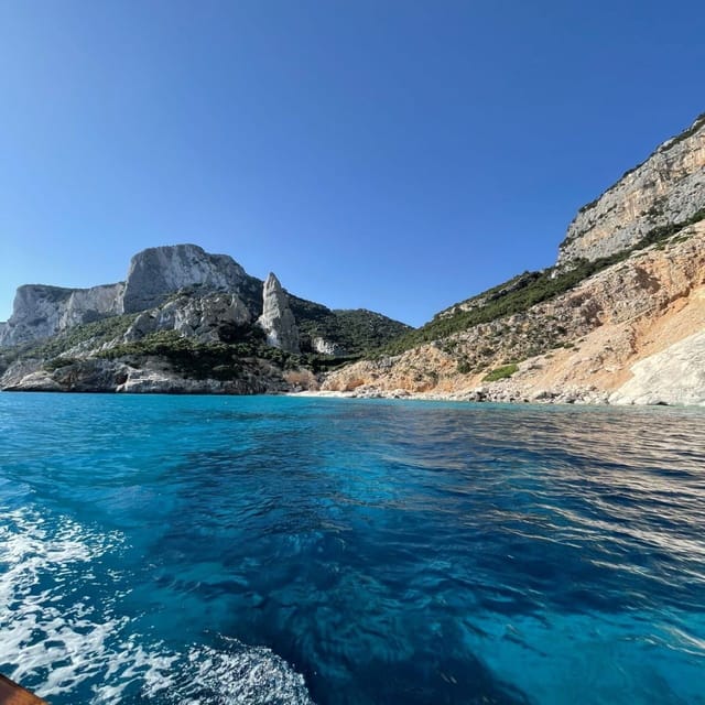 Arbatax: Gulf of Orosei Day Tour by Boat - Who will enjoy this boat day most?