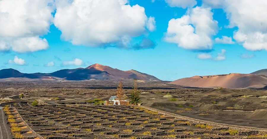 Arrecife: Timanfaya and Green Lagoon for Cruise Passengers - Timanfaya and the Fire Mountains