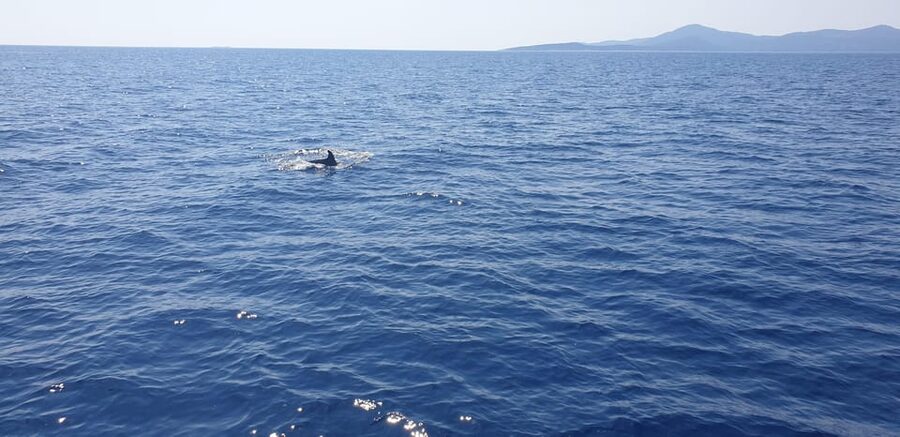 Athens: Riviera Catamaran Tour with Fresh Meal and Drinks - Asteras Bay near Vouliagmeni