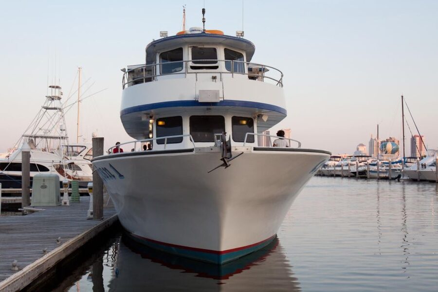 Atlantic City: Dolphin Watching Ocean Cruise Adventure - How much value you get for $53