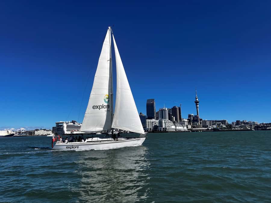 Auckland Harbour 1.5-Hour Sailing Cruise - Key points to know before booking