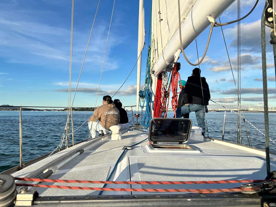Auckland Harbour 1.5-Hour Sailing Cruise - Devonport and the wider Waitematā view