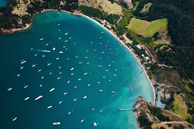 Auckland Harbour Sailboat Cruise Including Three Course Dinner - Is $105.50 a fair price?