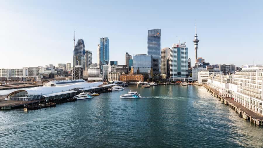 Auckland: Scenic Harbour Sightseeing Cruise - The First Views of Auckland’s Skyline