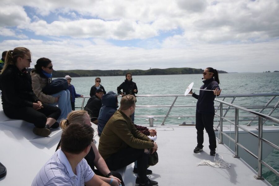 Auckland: Whale and Dolphin Watching Half-Day Eco Cruise - The boat ride, comfort, and sea conditions