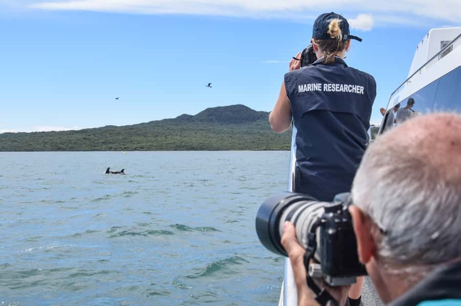 Auckland: Whale and Dolphin Watching Half-Day Eco Cruise - Who will enjoy this cruise most?