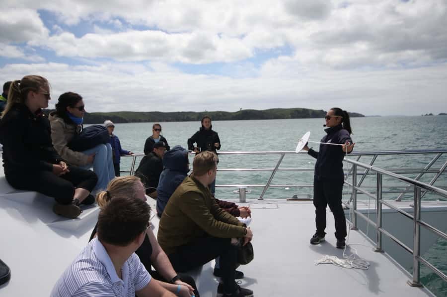 Auckland: Whale and Dolphin Watching Half-Day Eco Cruise - Searching the Hauraki Gulf for marine life