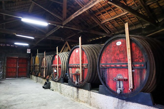 Authentic Small Group Douro Wine Tour with Lunch & River Cruise - Is $133 a Fair Price?