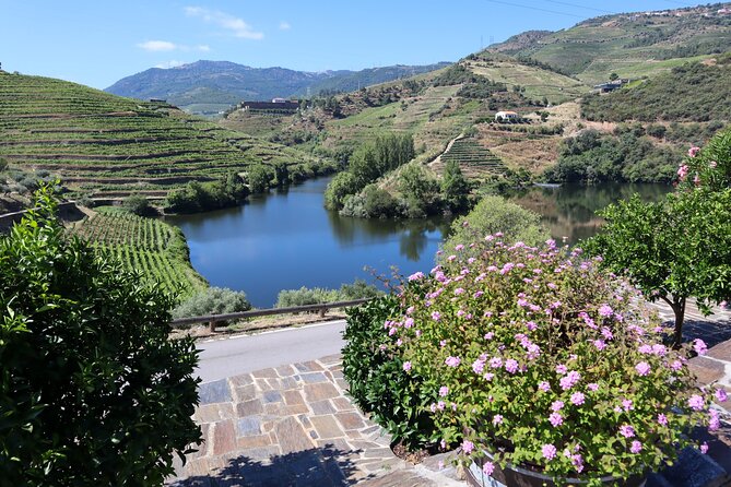 Authentic Small Group Douro Wine Tour with Lunch & River Cruise - Who Should Book This Douro Tour?