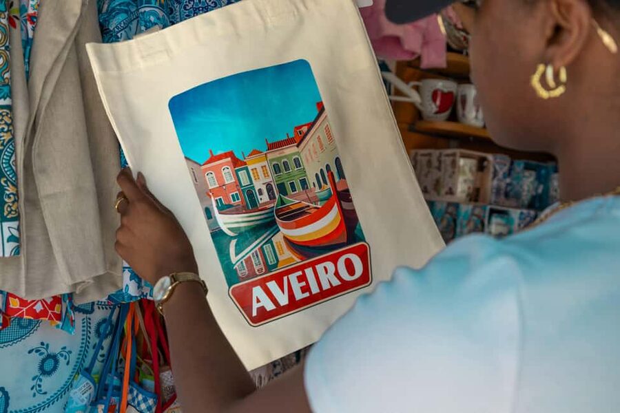 Aveiro: Half-Day Tour from Porto with Optional Cruise - Reaching Aveiro by comfortable minibus