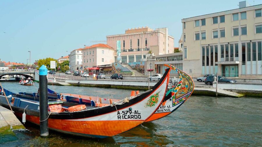 Aveiro: Traditional Moliceiro Boat Cruise - Key points to know before you book