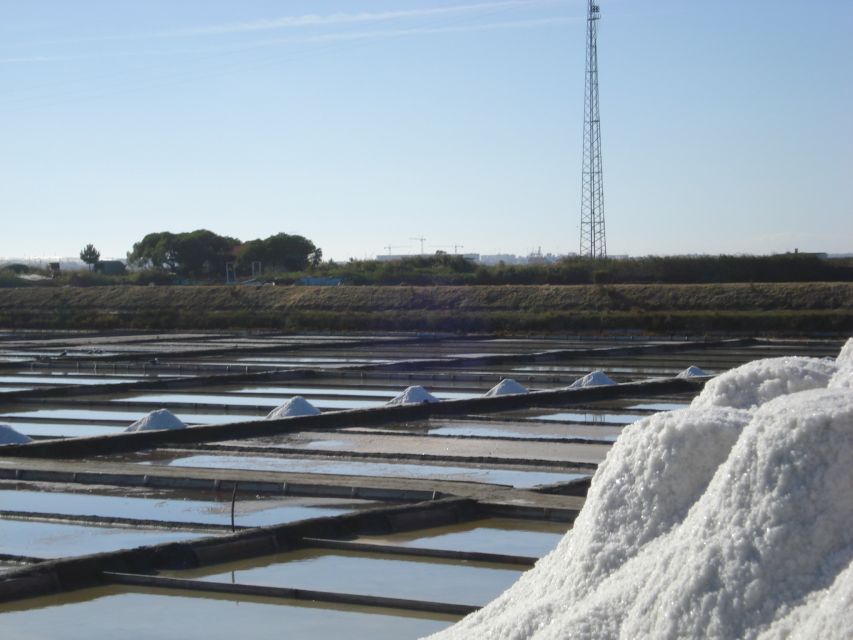 Aveiro: Walking Tour, Boat Cruise, Sweets & Church Entrance - Ovos moles, a small but useful introduction to Aveiro