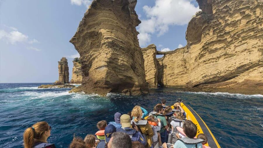 Azores: Whale Watching & Islet Boat Tour w/ Marine Biologist - The search for sperm whales, dolphins and other cetaceans