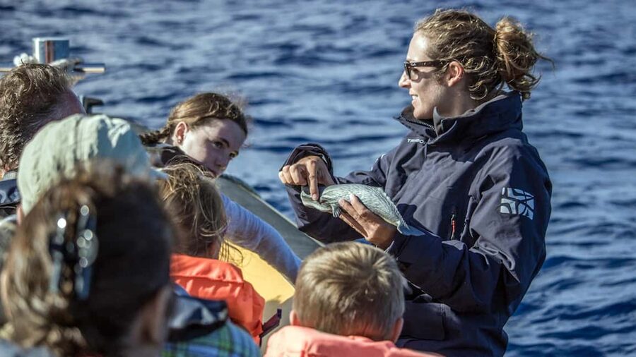 Azores: Whale Watching & Islet Boat Tour w/ Marine Biologist - Leaving Vila Franca do Campo for open water