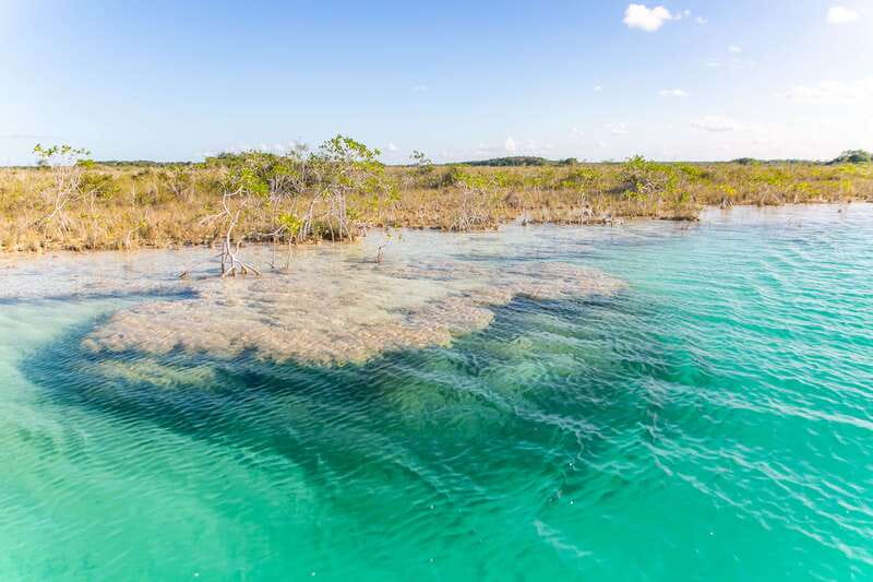 Bacalar: 3 Hour Boat Trip with Swimming & Drinks - Who should book this Bacalar boat trip