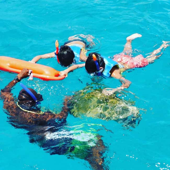 Barbados: Catamaran Tour with Snorkeling and Lunch - The shipwrecks and schools of tropical fish