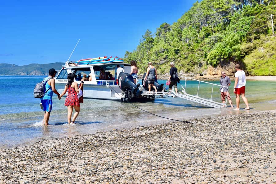 Bay of Islands: 4.5 Hour Day Cruise and Island Getaway Tour - Roberton Island and the Twin Lagoons lookout