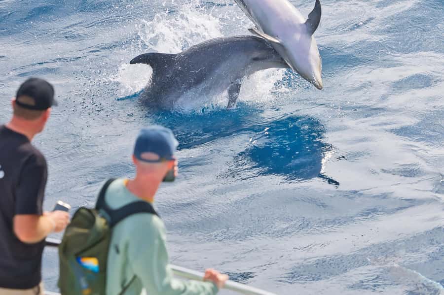 Bay of Islands: Discover the Bay Cruise with Island Lunch - Boarding at Paihia and settling into the power cat