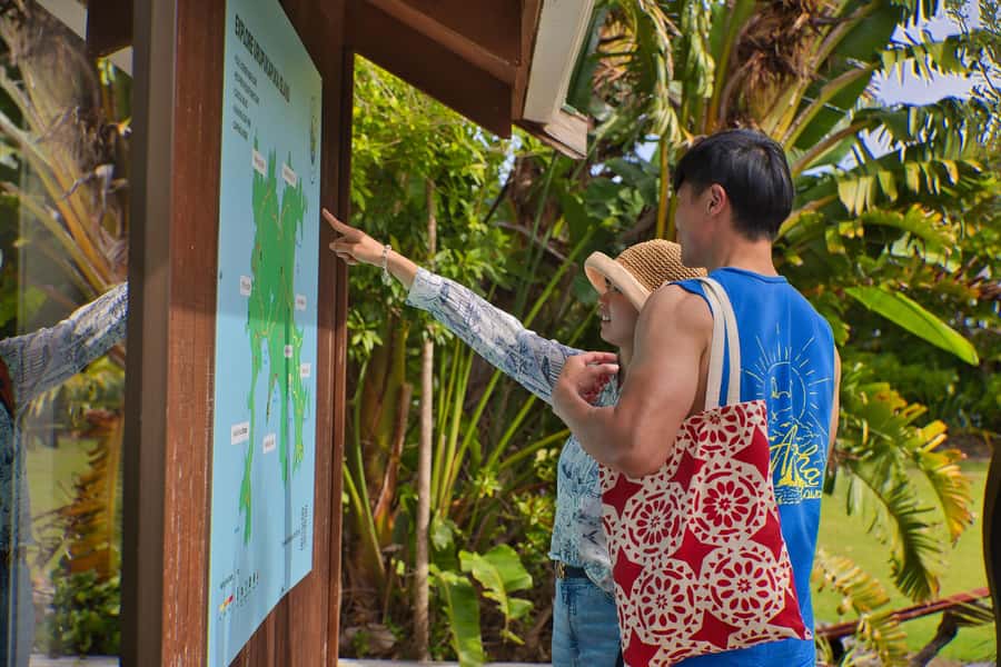 Bay of Islands: Discover the Bay Cruise with Island Lunch - Should you book the Bay of Islands Discover Bay Cruise?