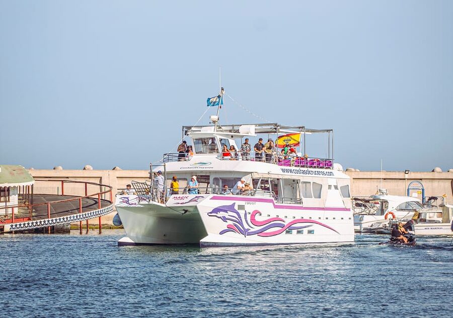 Benalmadena: Dolphin Watching Boat Tour - Why this Benalmádena cruise is worth considering
