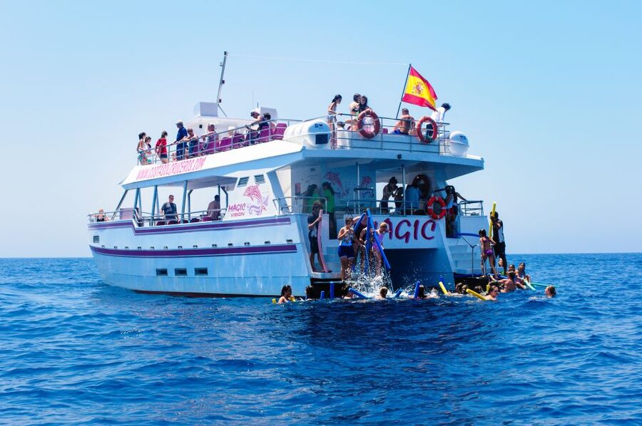 Benalmadena: Dolphin Watching Boat Tour - Should you book the Benalmádena dolphin cruise?