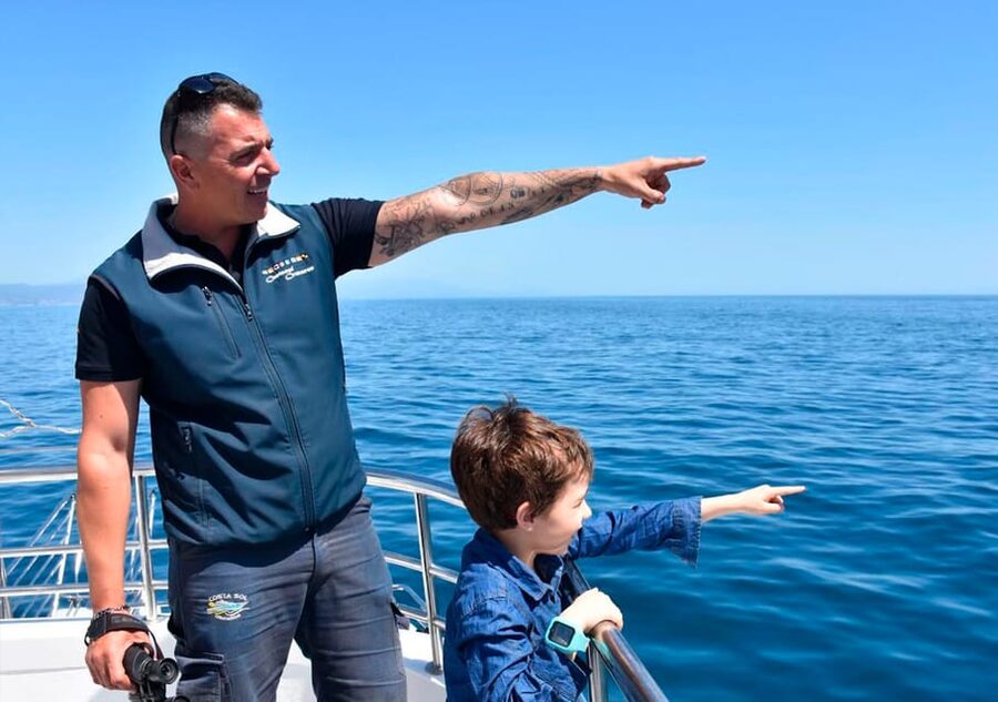 Benalmadena: Dolphin Watching Boat Tour - Picking your place on the New Magic